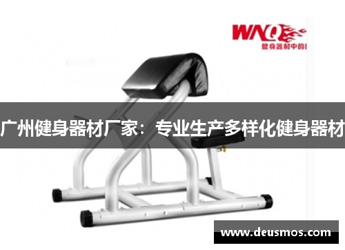 广州健身器材厂家:专业生产多样化健身器材